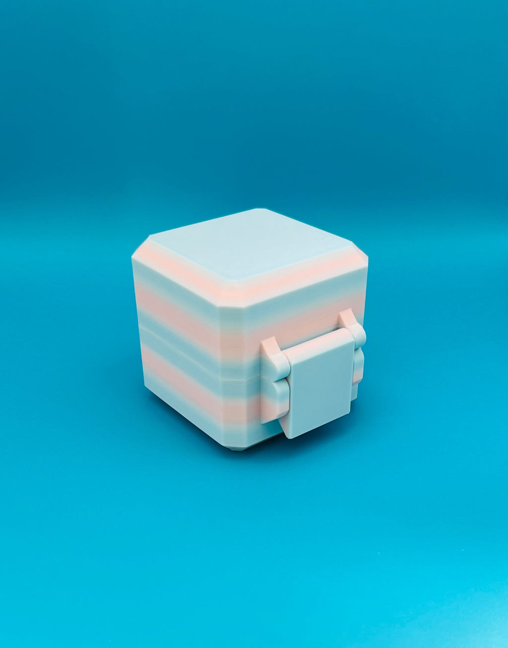 NeeDoh Nice Cube Case