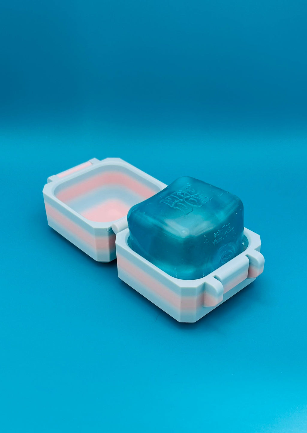 NeeDoh Nice Cube Case