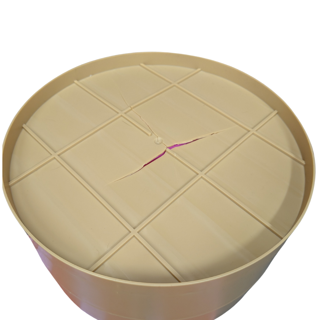 Kawaii Foodiez- XXL 25cm Dumpling